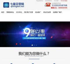 百度seo网站优化技术顾问服务搜索引擎关