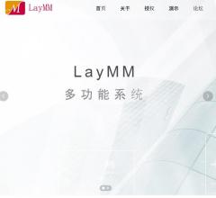 LayMM综合系统