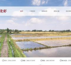 三湖龙虾官方网站