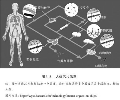 8种人体器官芯片，让你看到一场看不见的技术革命