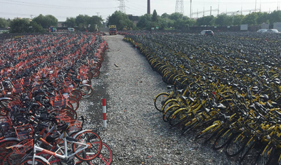 共享单车凉凉后的王庆坨镇：农田堆数万辆二手单车