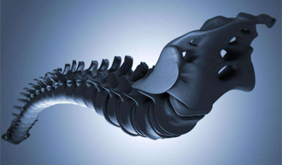 美国3D打印技术制出生物工程脊髓