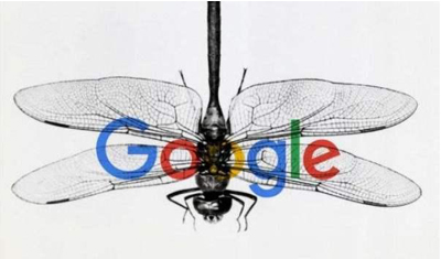 谷歌“蜻蜓计划”或已流产，中国版谷歌搜索被迫关闭呢？