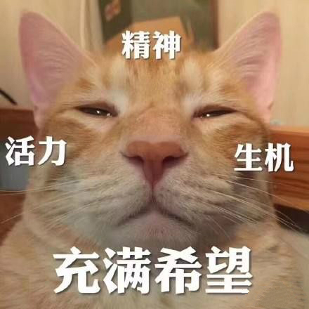 我不是肥婆,我是孙代芬—正版原文 我不是肥婆,我是孙代芬—正版原文