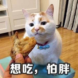 最安全有效的减肥方法:WOODY代餐奶昔代餐减肥法 最安全有效的减肥方法:WOODY代餐奶昔代餐减肥法