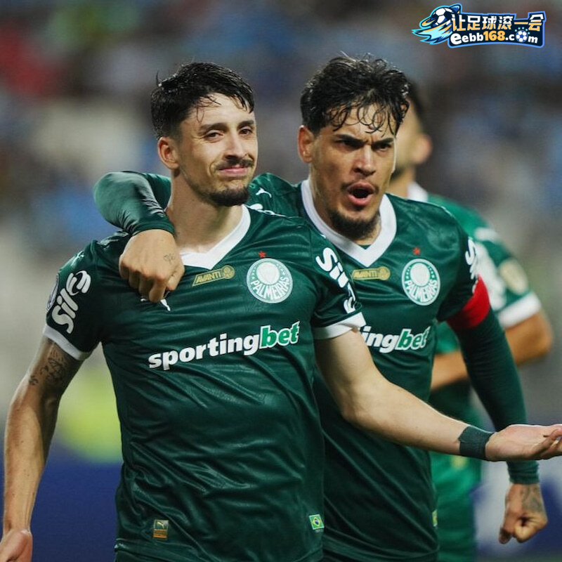 palmeiras-vs-fc-porto-612-3.jpg