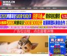 网赚易