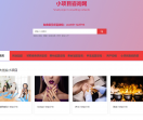 小项目咨询网