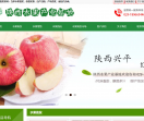 水果批发网