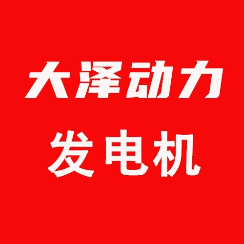 大泽动力发电机官网00