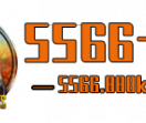 5566卡盟