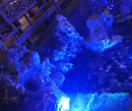 小蜗影院