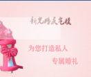 广告气模