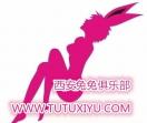 西安兔兔网