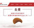 桑黄功效与作用