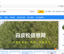 白皮松信息网