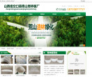 山西青山育林板厂家