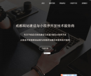 成都网站建设