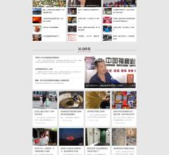 站群网