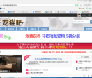 龙猫