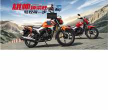 五羊-本田摩托(广州)有限公司