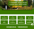 蓝田县盛世园林苗圃