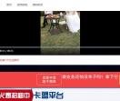 全网VIP影视解析