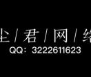 尘君网络