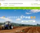白杨农业种植基地