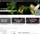 PPT设计教程网