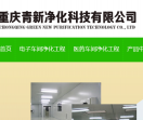重庆青新净化