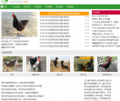中国鸡蛋网