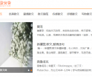 琥珀散文网