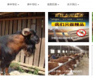 万州养殖网