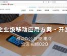 北京软件开发公司