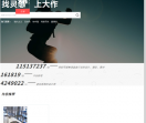 大狮搜索