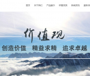 站群系统