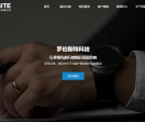软件开发|网站建设
