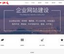 企业网站设计开发