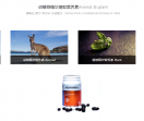 澳琳达蜂胶中国官网