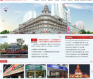 中百商网
