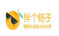 伴个桔子导游平台