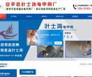 龟甲网