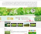 我爱盆栽