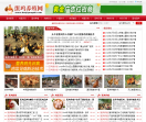 蛋鸡养殖网