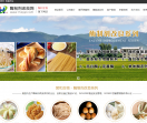 酶制剂改良网企业官网