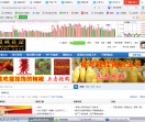 股城论坛