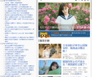 爱上情感