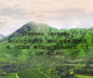 梅州金柚供应商