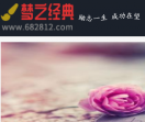 梦之经典文学网